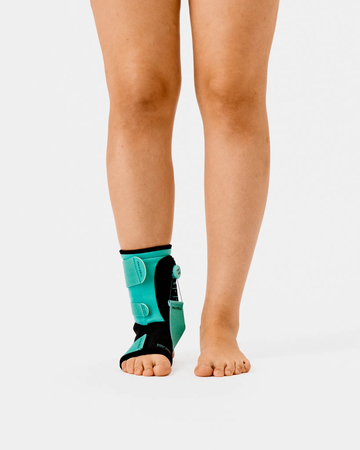 Ankle Trainer
